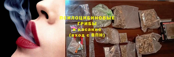 ПСИЛОЦИБИНОВЫЕ ГРИБЫ Баксан