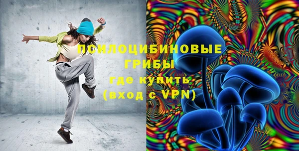 ПСИЛОЦИБИНОВЫЕ ГРИБЫ Баксан