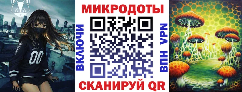 Псилоцибиновые грибы Cubensis Ивдель